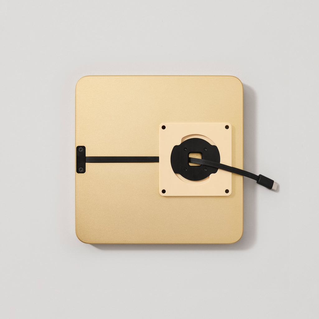 Dame Wall Home 2.0 for iPad Pro 11" (2024), Gold
